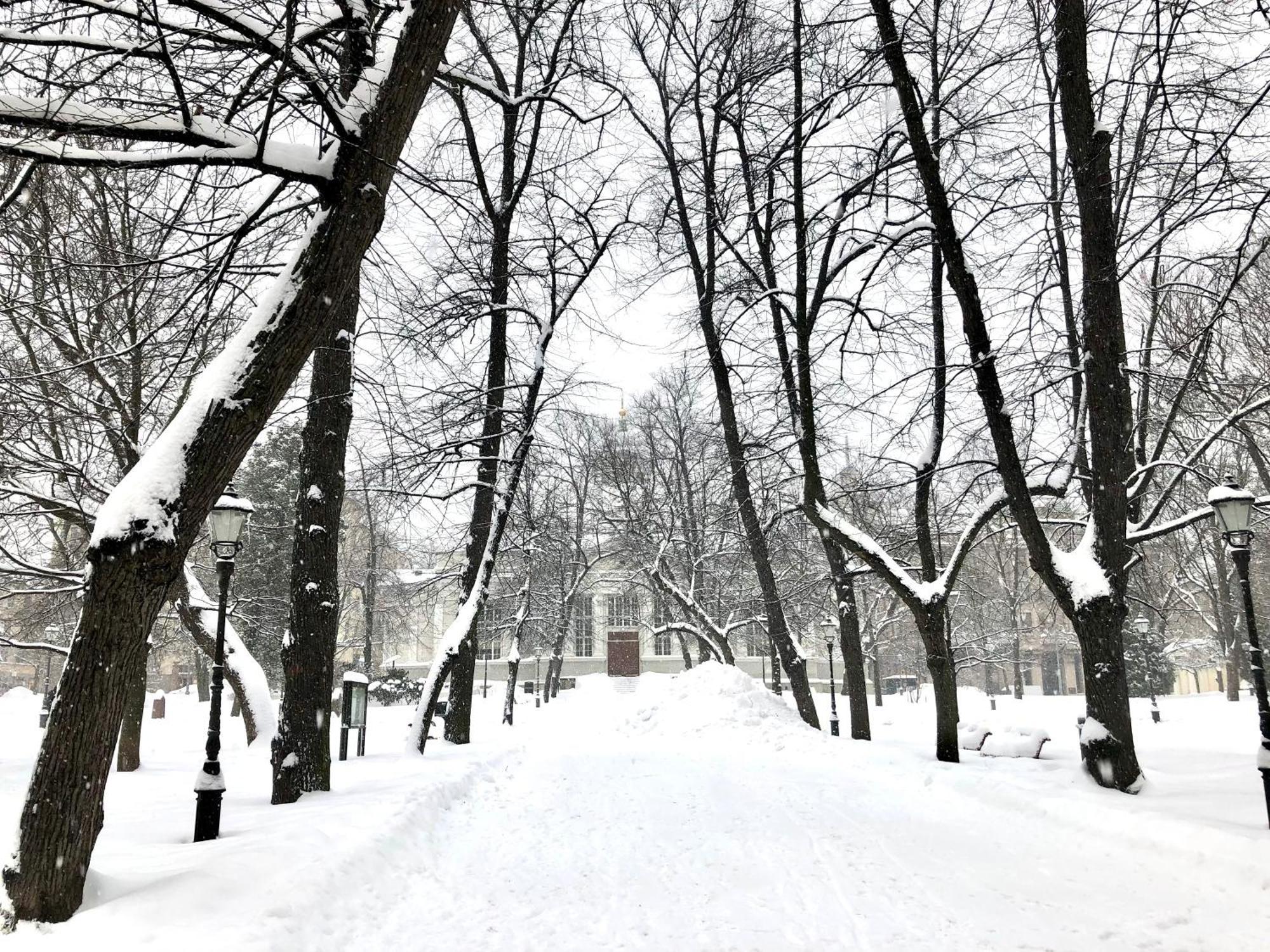 Scandinavian Home In Heard City Helsinki Ngoại thất bức ảnh